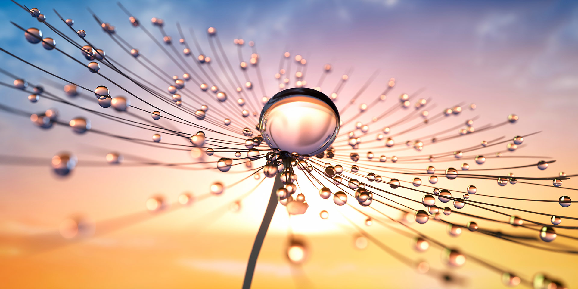 Angela Kennecke - zuverlässig – ehrlich – verstehend | Beratung und Coaching für qualitative Personalthemen